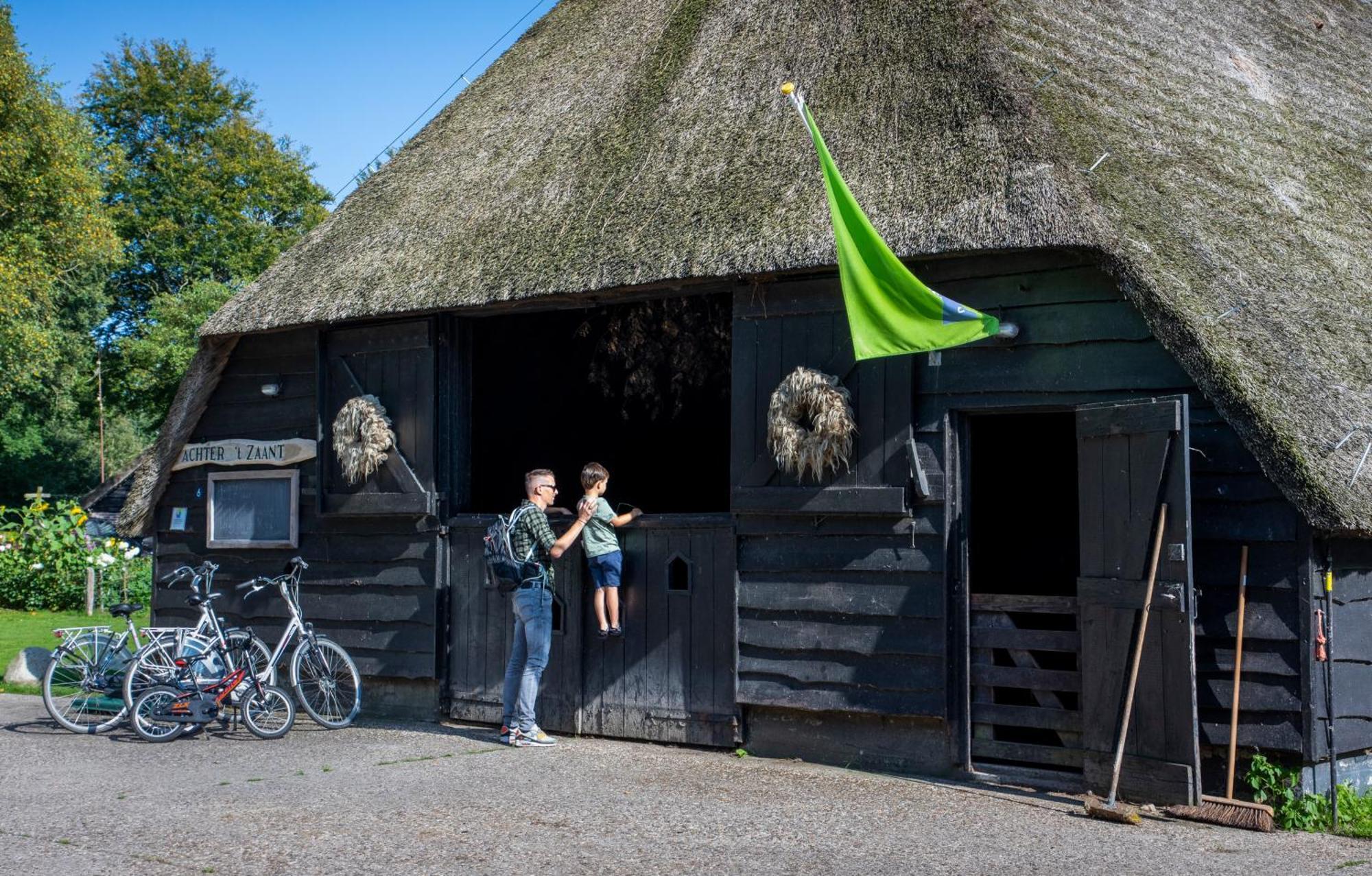 Camping De Bosrand Spier Exteriér fotografie